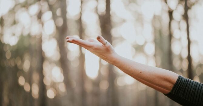 Caregiver, Wellness & Meditation Coaching